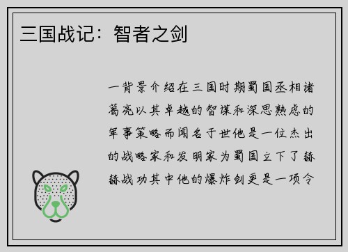 三国战记：智者之剑